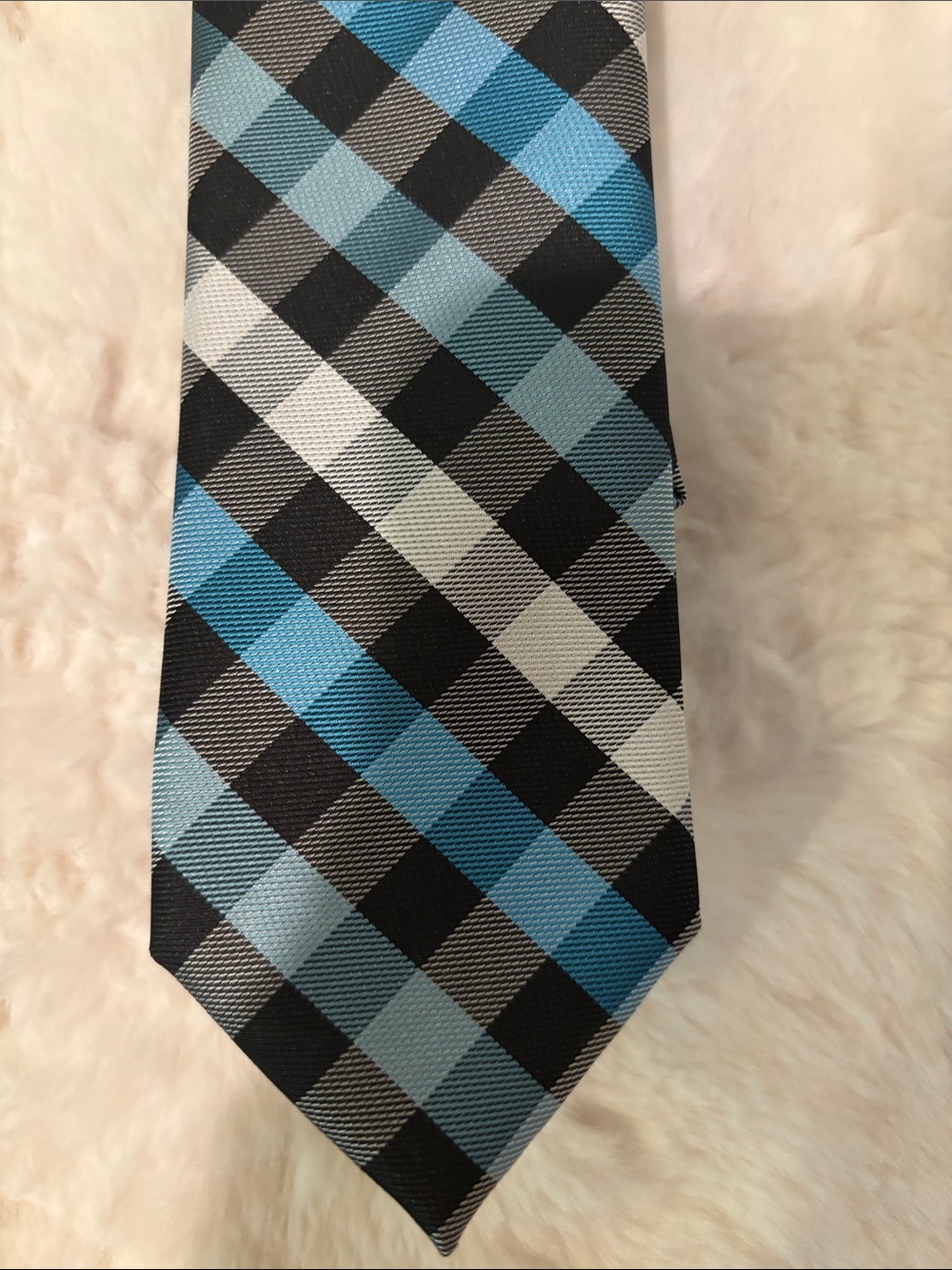 Egara Men's Blue Checkered Tie